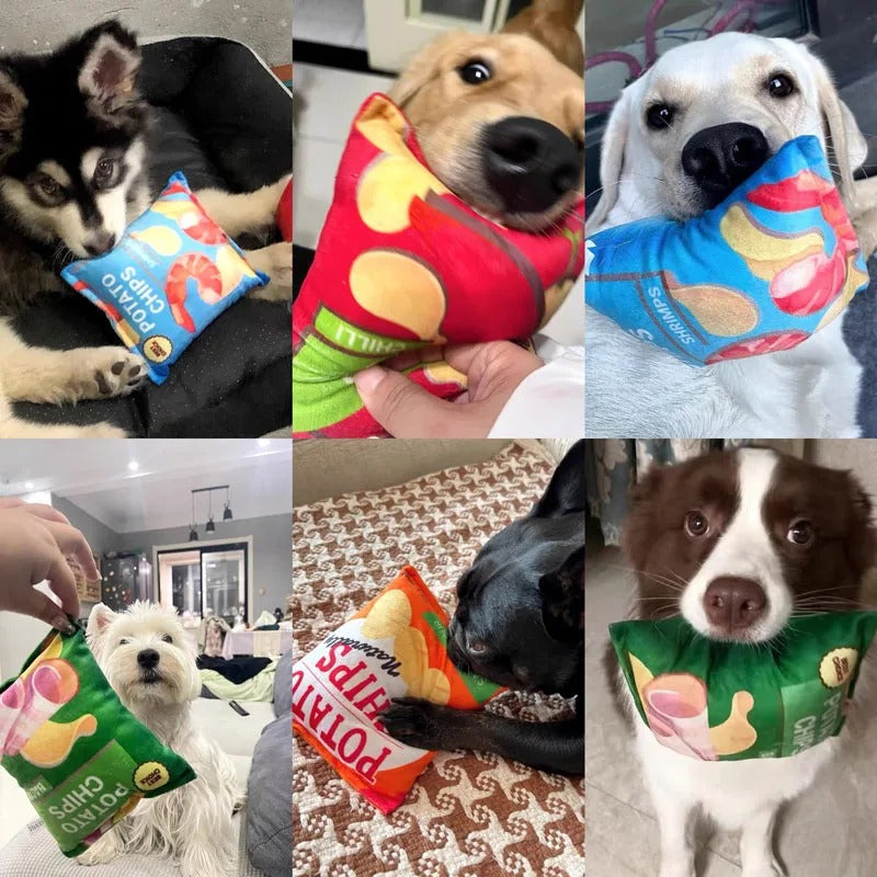 Dog playing with the crinkle chips plush toy