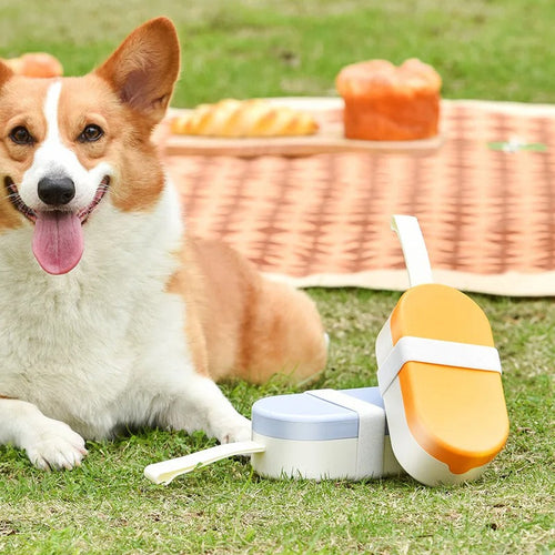 Collapsible 2-in-1 travel bowl for dogs