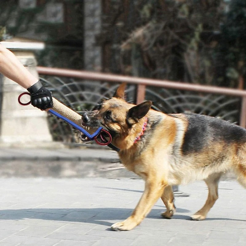 Close-up of the dog chew sticks