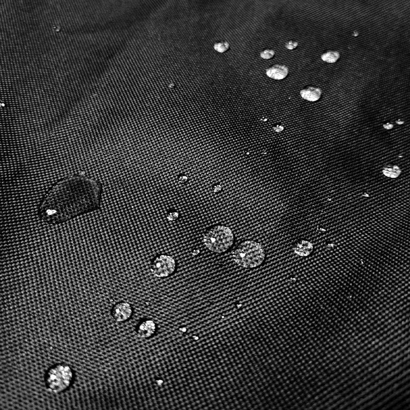 PawShield cover protecting the back seat
