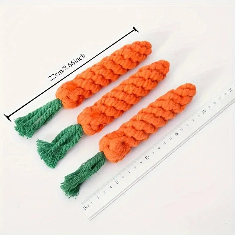 Dog chewing the carrot rope toy
