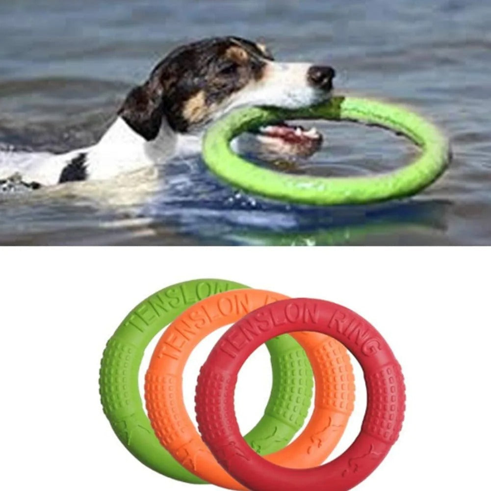 Floating dog training ring on the water surface