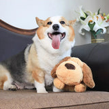 Heartbeat comfort toy for dogs