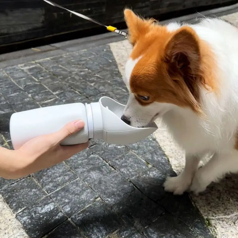 Foldable travel water bottle for pets