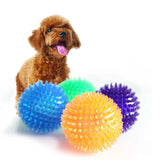Spiky ball chew toys for pets
