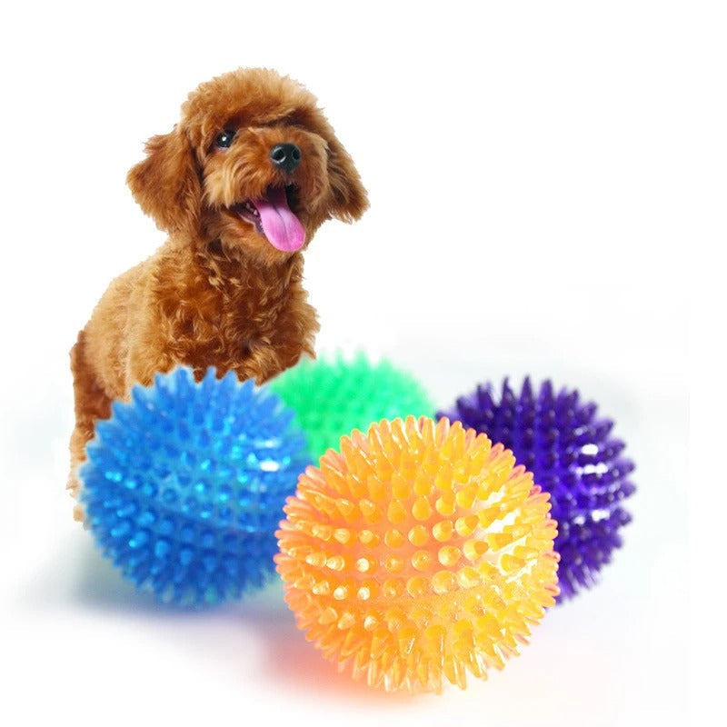 Spiky ball chew toys for pets