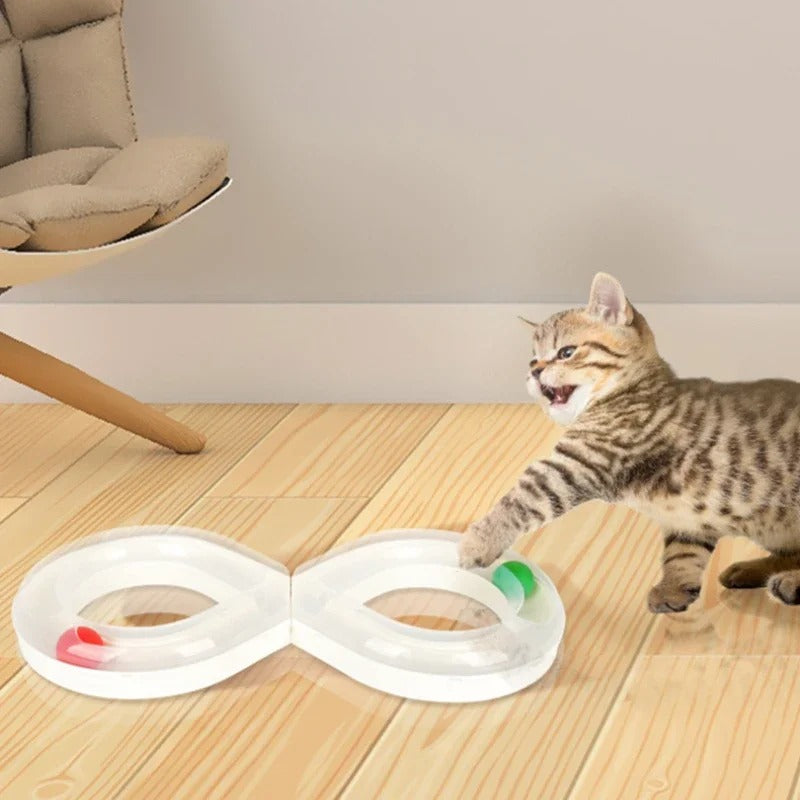Cat swiping at the spinning turntable toy