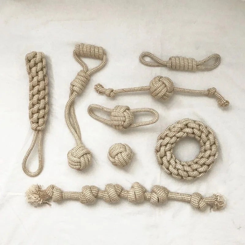 Dental rope toy being used for fetch