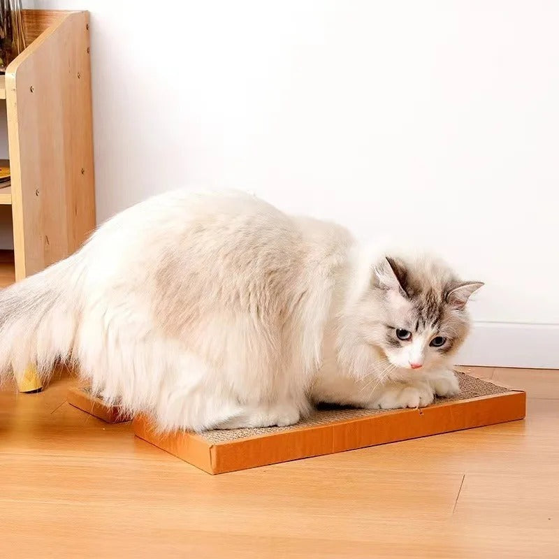 Corrugated surface of the cardboard scratching mat