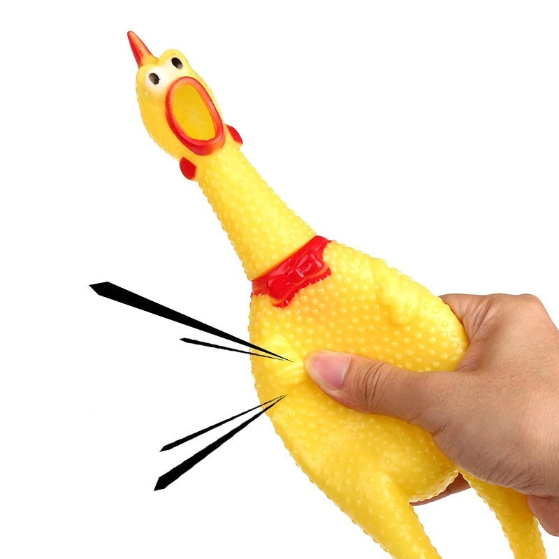 Dog carrying the squeaky chicken toy