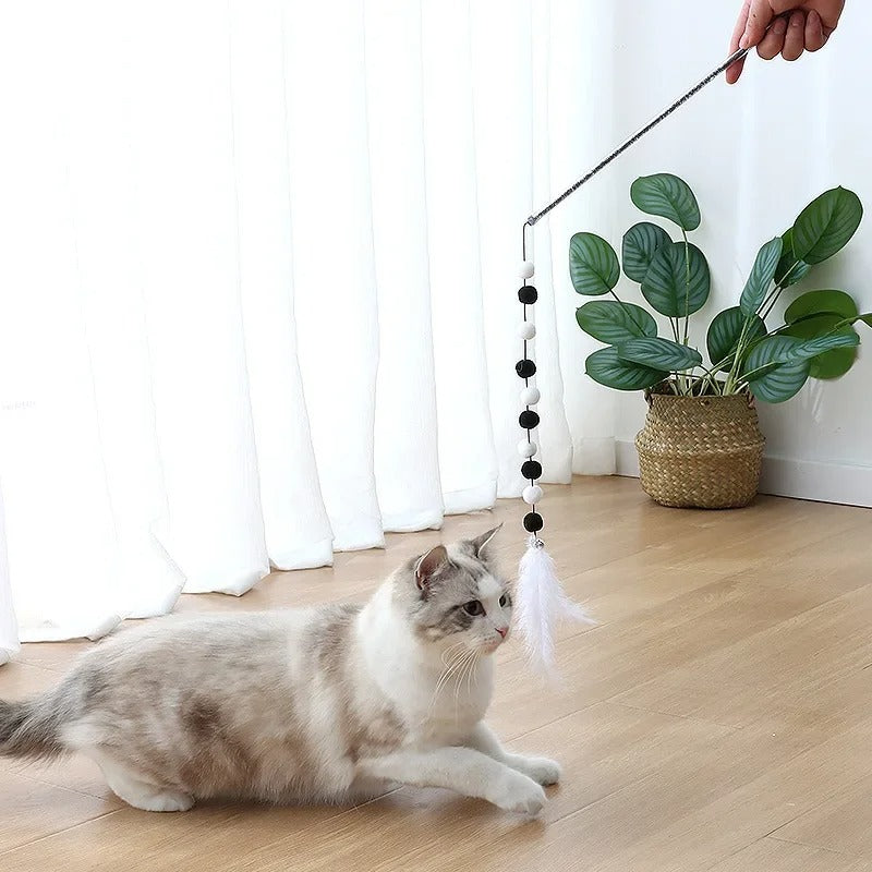 Cat playing with the feather teaser wand indoors