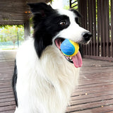 Soft TPR squeaky dog toy