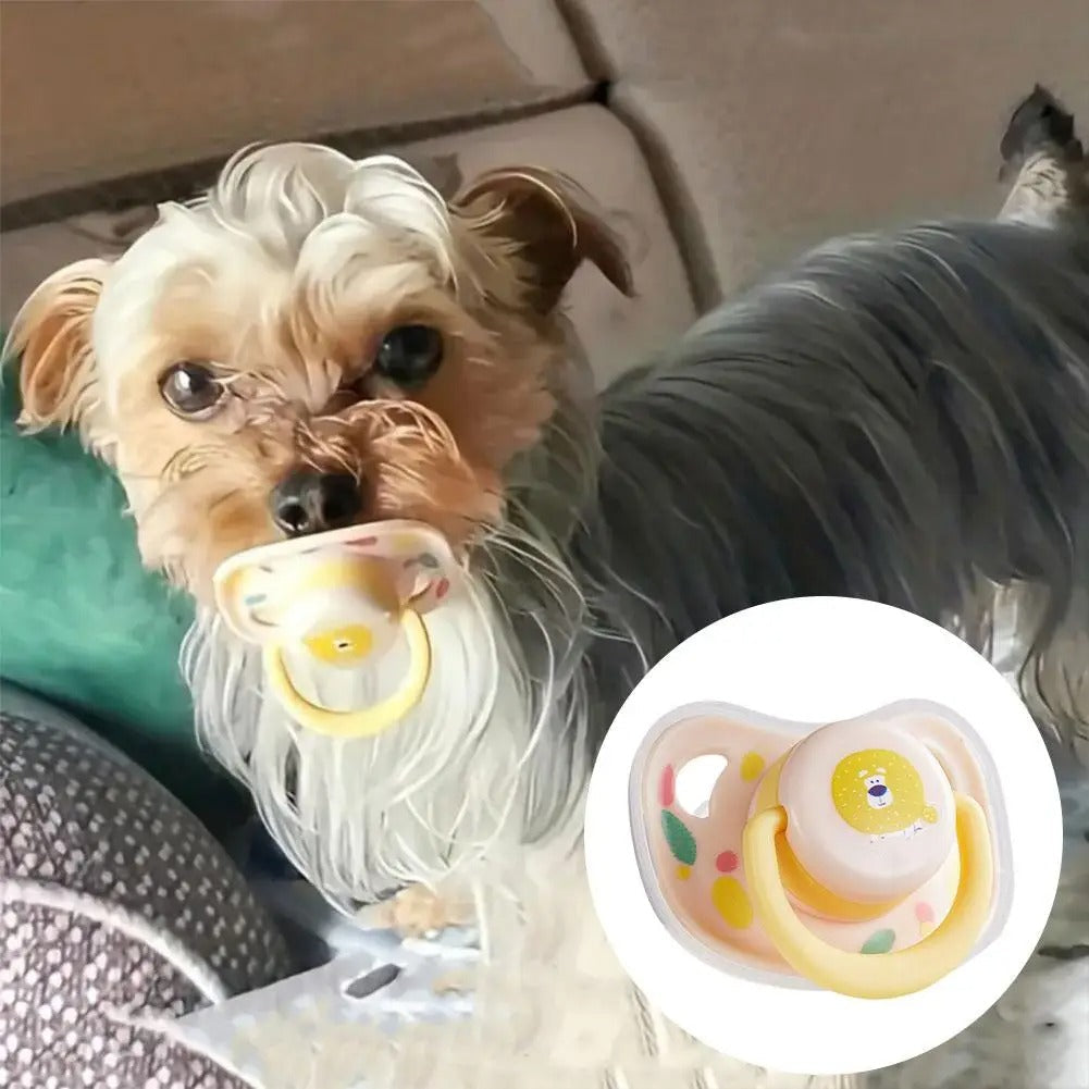 Pet chewing the soft calming pacifier