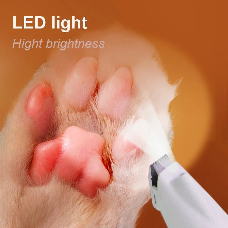 Trimmer blade tidying a dog's paw pads