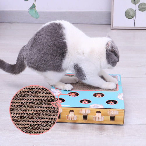 Cat reaching into the peek-a-boo play box