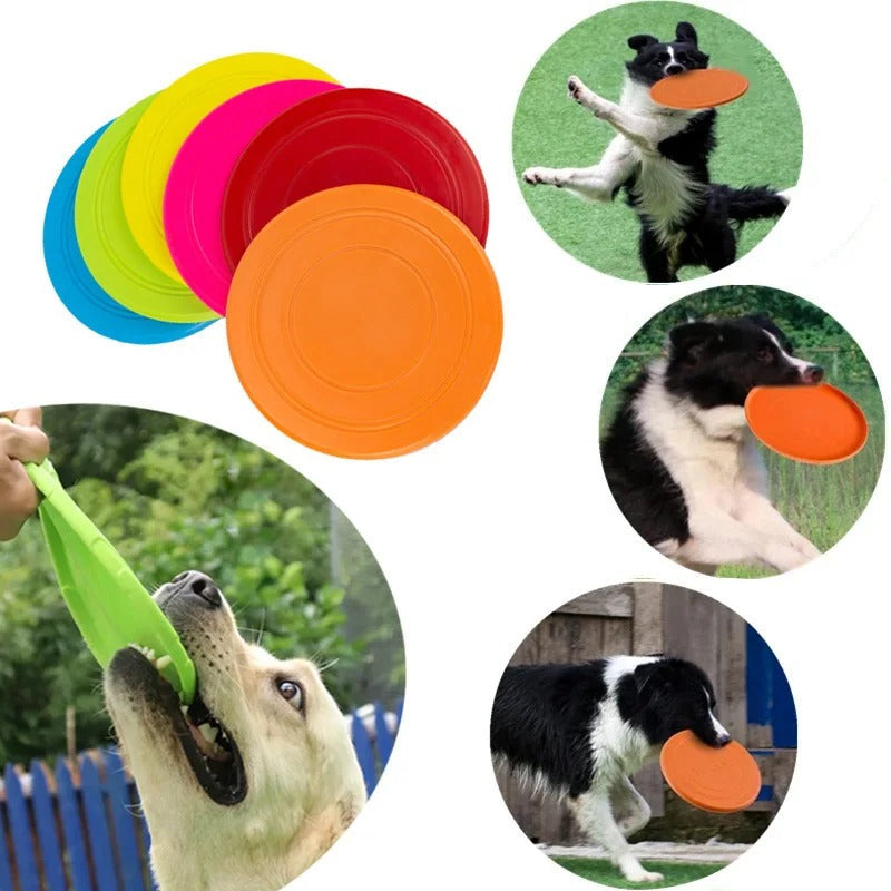 Floating flying disc dog toy shown in all colours