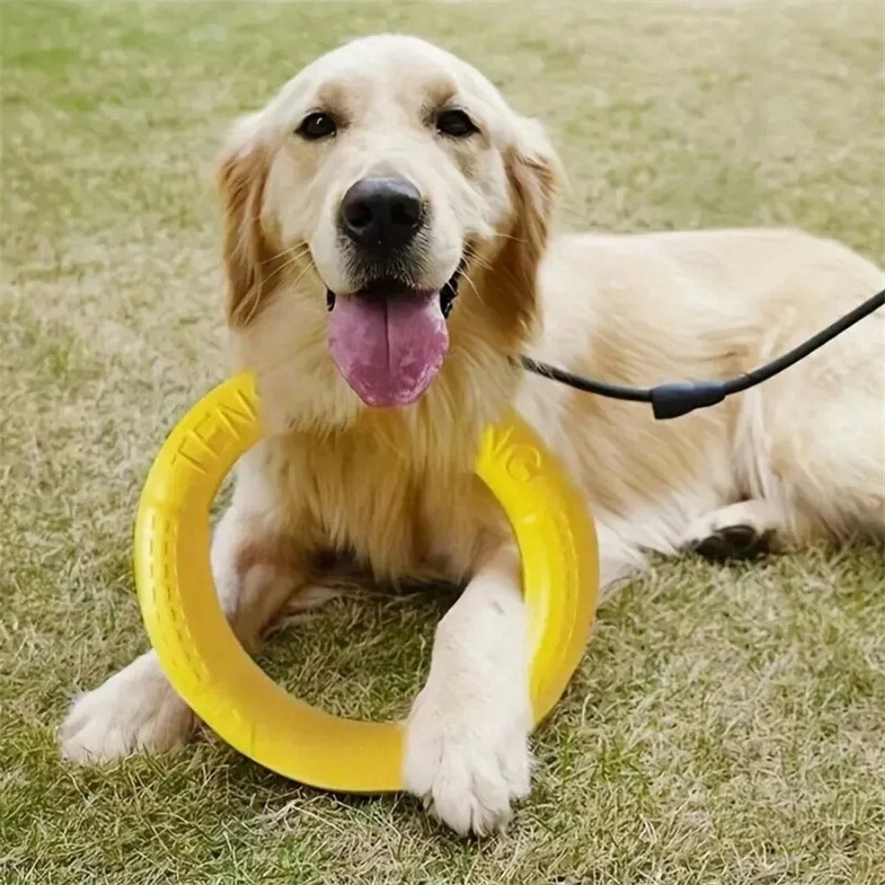 EVA foam training ring floating on water