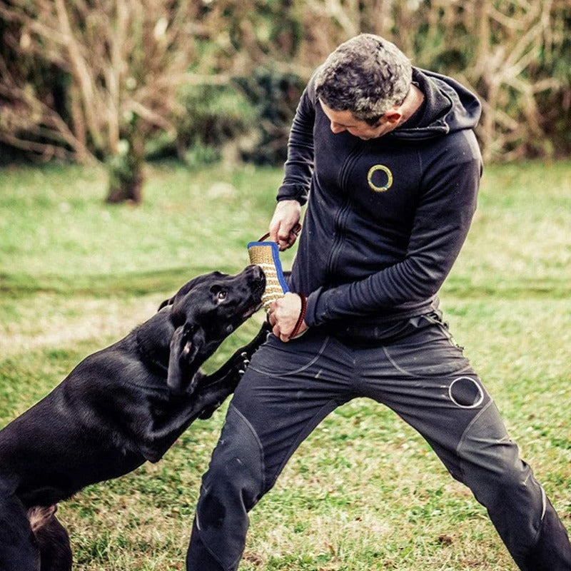 Natural dog chew sticks and pads
