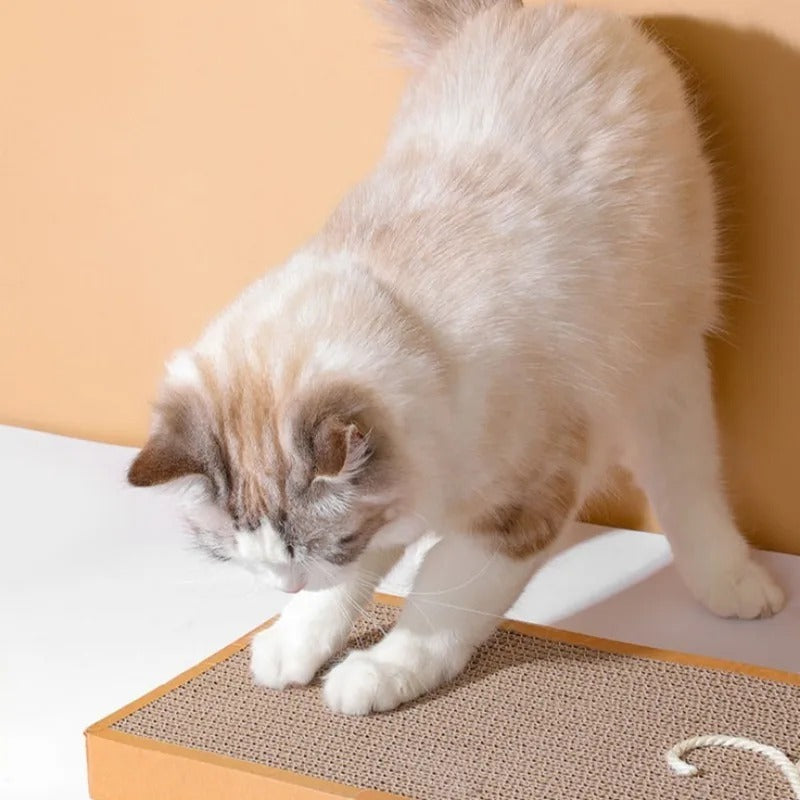 Cardboard cat scratching mat