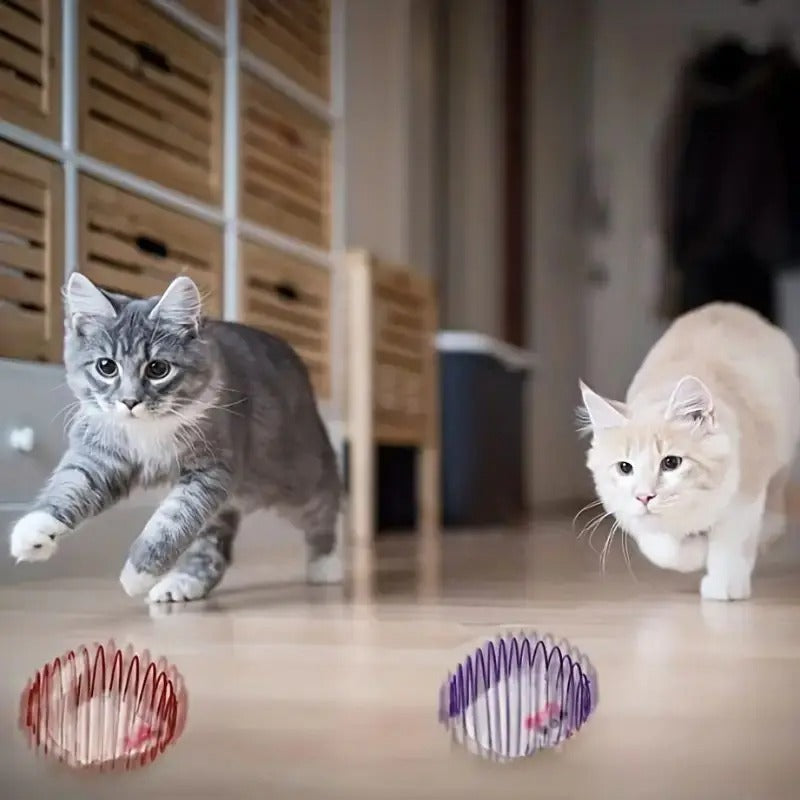 Stretchy cat balls with caged rats