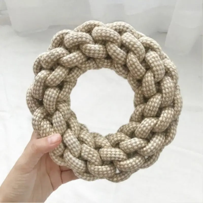 Dog carrying the dental knot rope toy