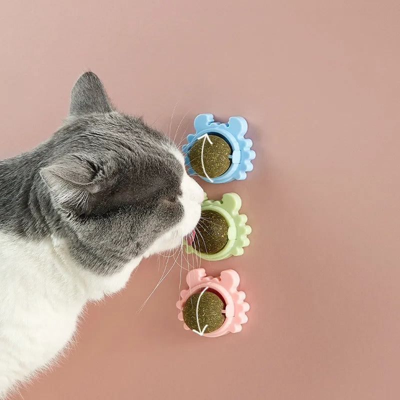 Wall-mounted catnip ball for cats