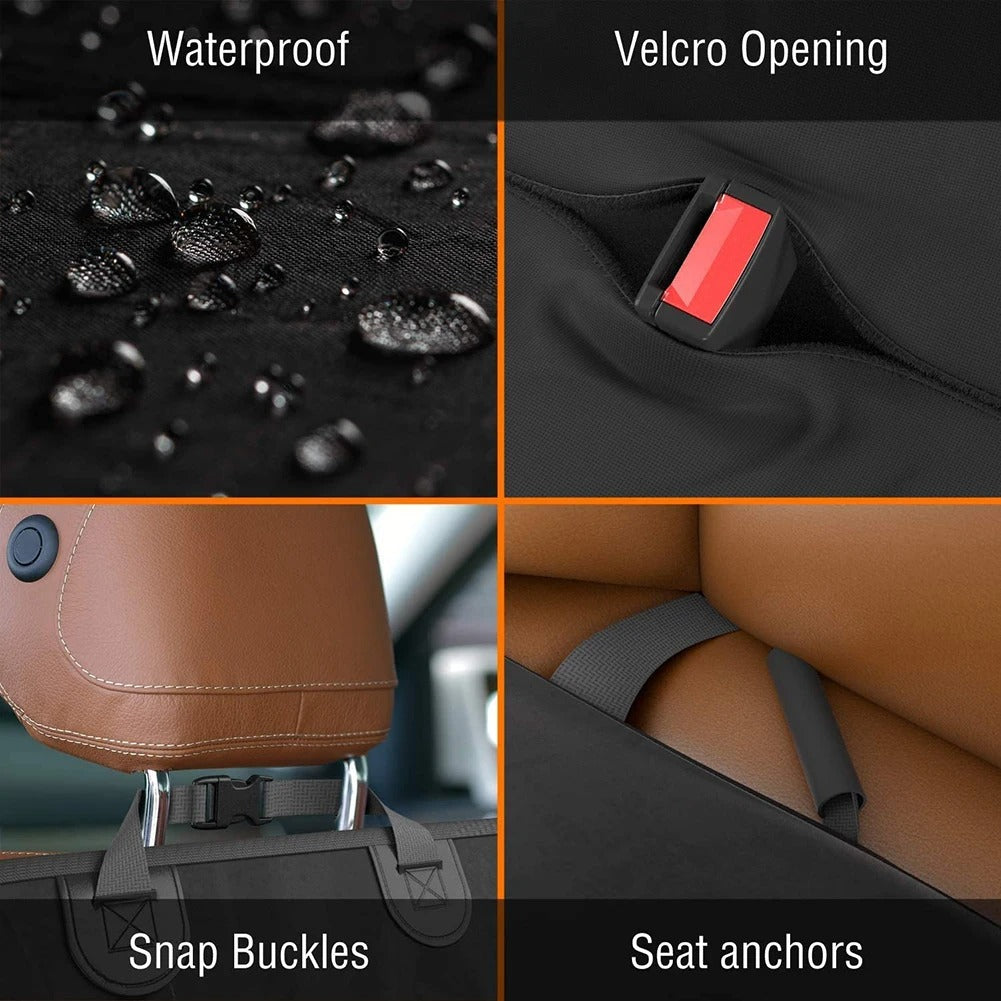 Dog on the waterproof back seat protector