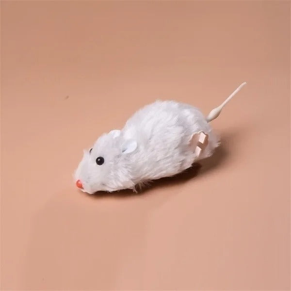 Cat chasing the running mouse toy
