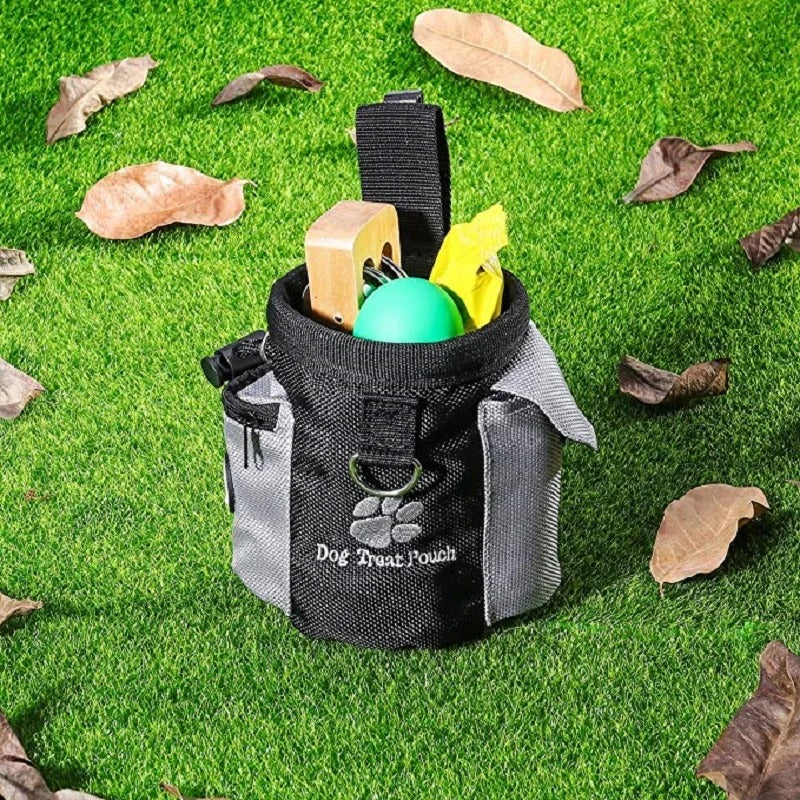 Portable treat bag worn crossbody during training