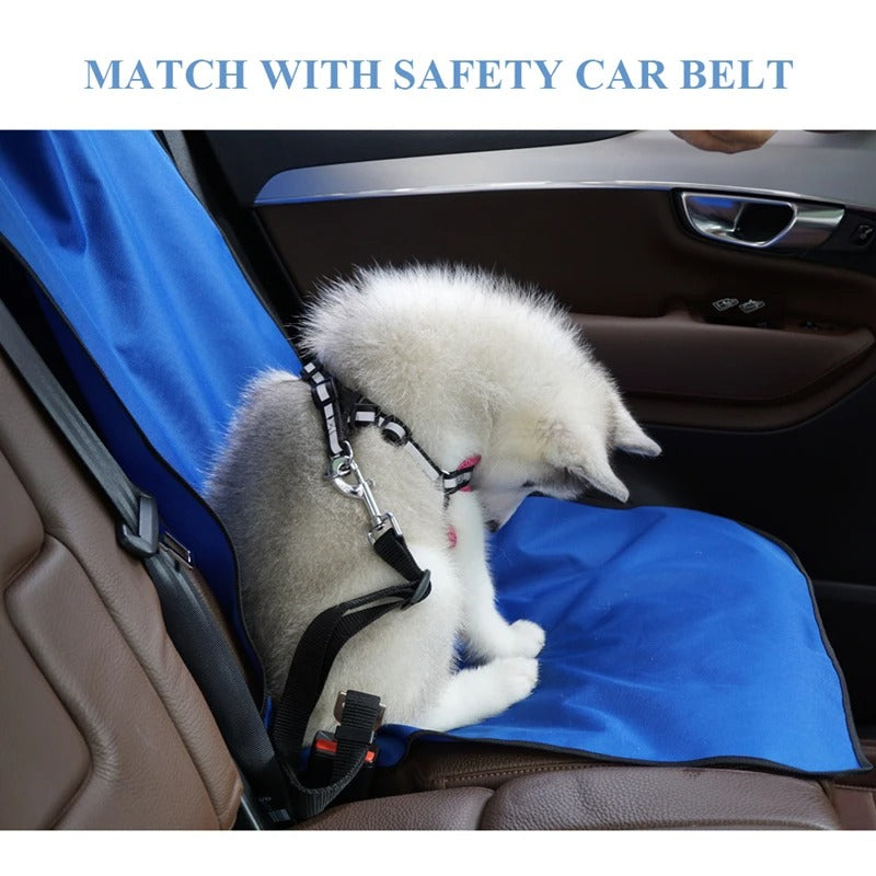 Pet car back seat cover in blue