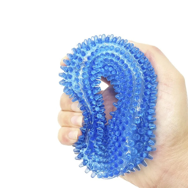 Dog chewing the spiky dental toy