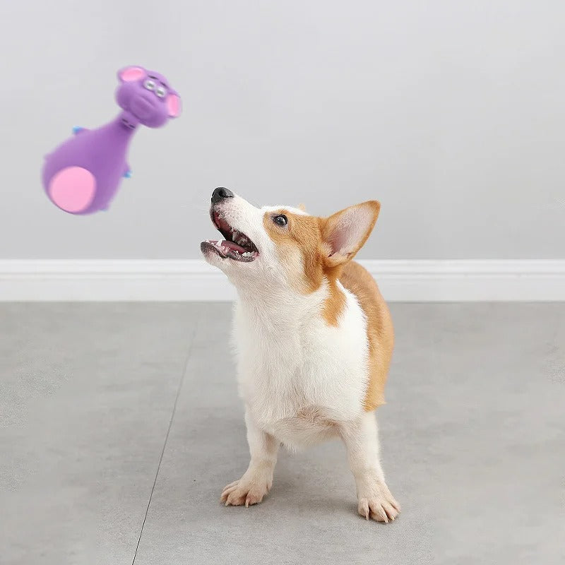 Squeaky animal fetch toys shown together