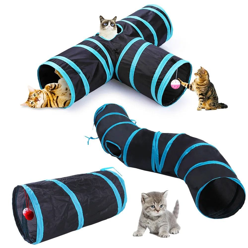 Two cats playing in the tunnel