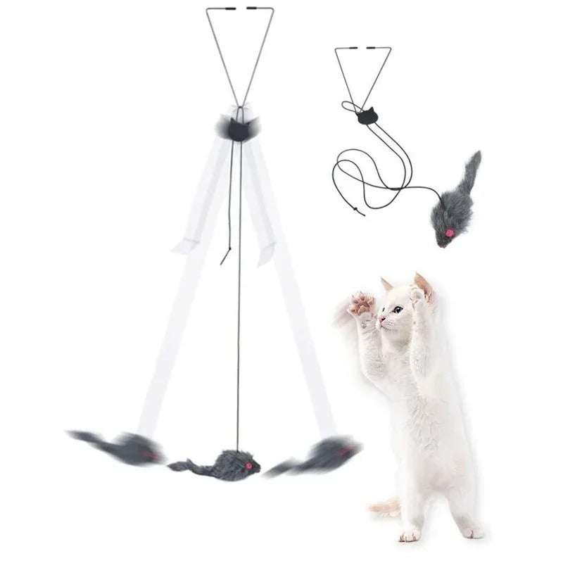 Retractable cat toy mounted on a door