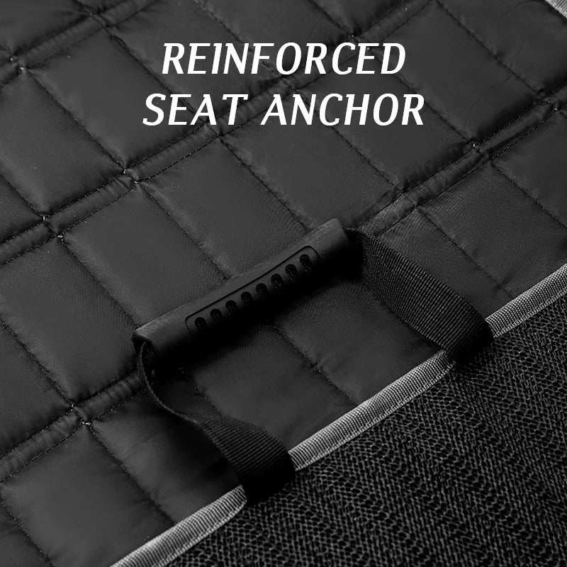 Pet on the travel car seat protector