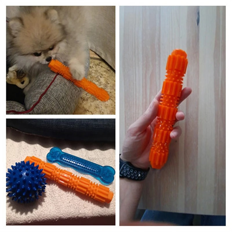 SqueakChew dog toy in green