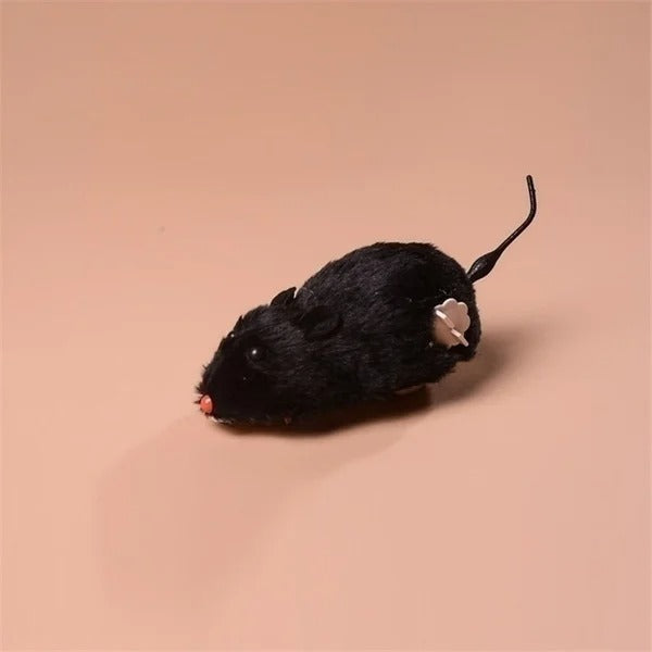 Dog playing with the lifelike mouse toy