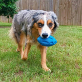 Squeaky dog toy for strong chewers