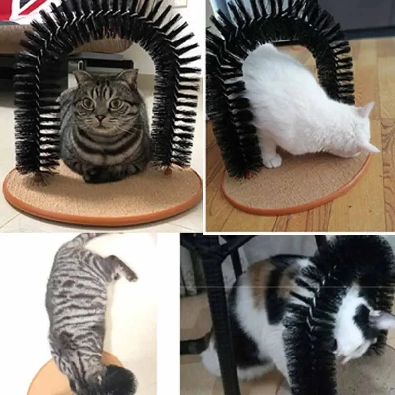 Cat self-groomer arch with scratch pad