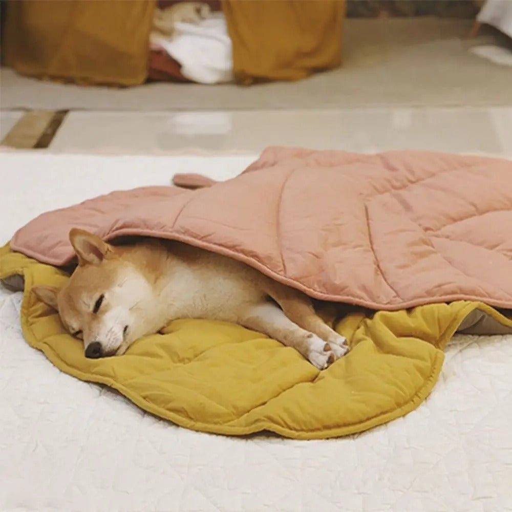 ChillPaw cooling mat used outdoors