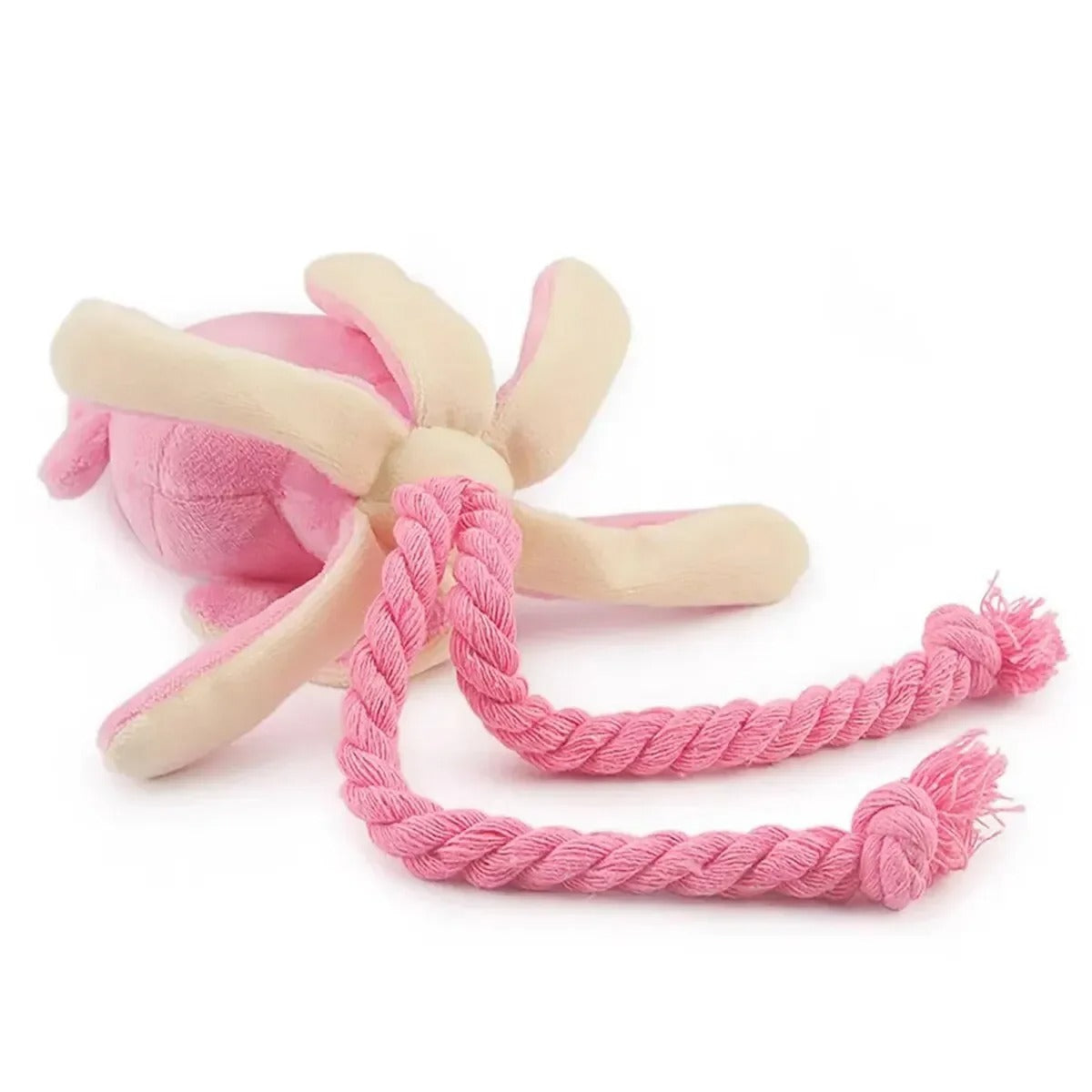 Dog playing with the octopus plush rope toy