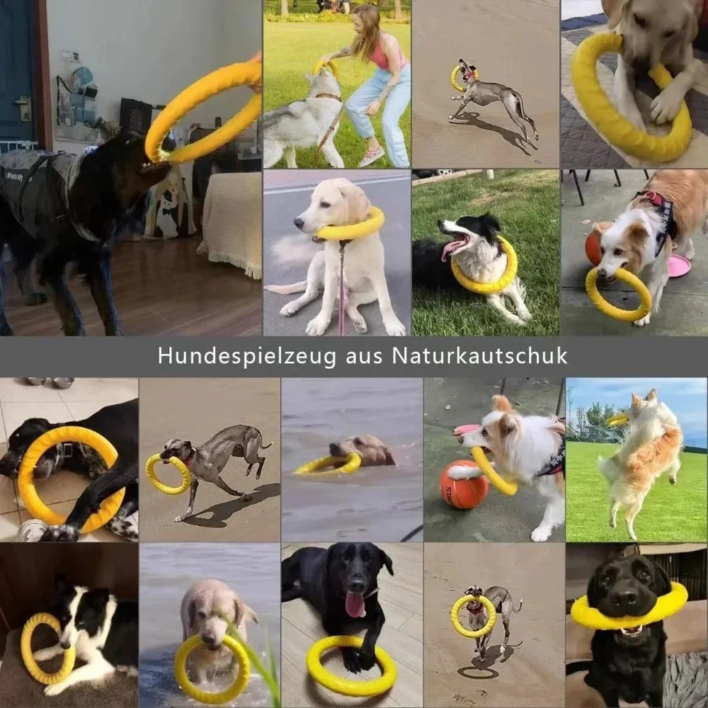 Dog tugging on the flying disc ring puller
