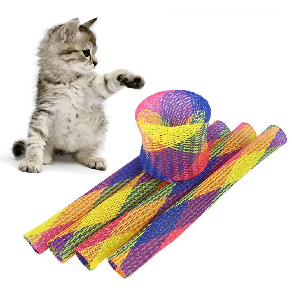 Cat playing with a bouncy spring coil toy