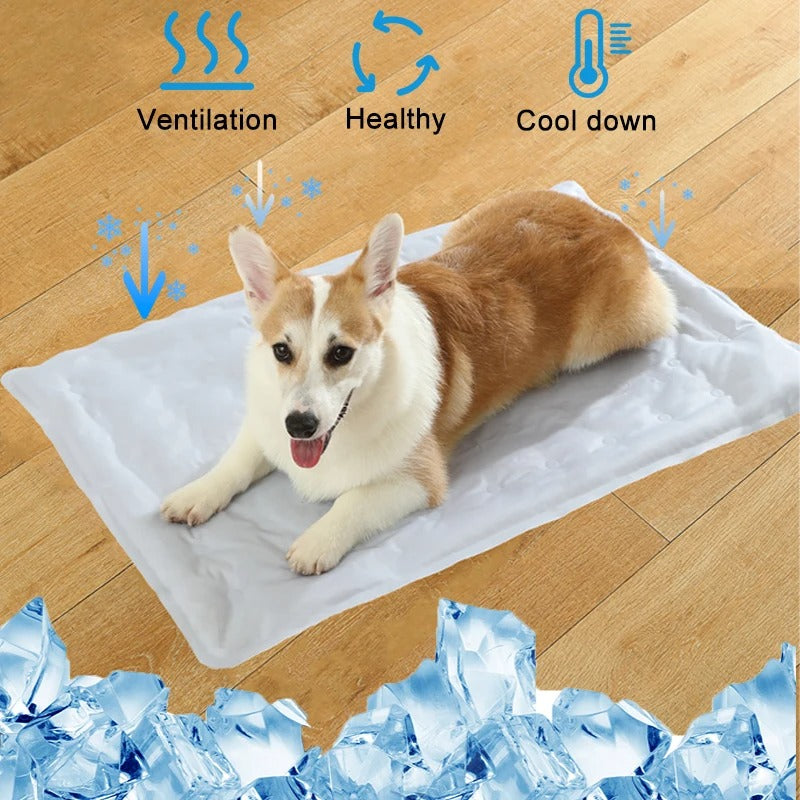 Self-cooling mat for dogs shown in different sizes