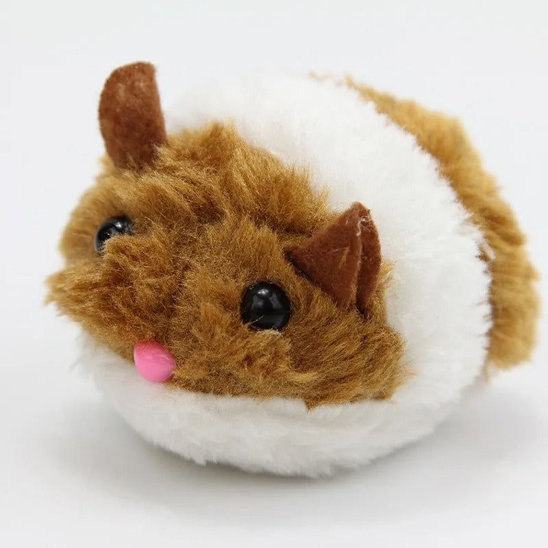 Cat carrying the cute mouse toy