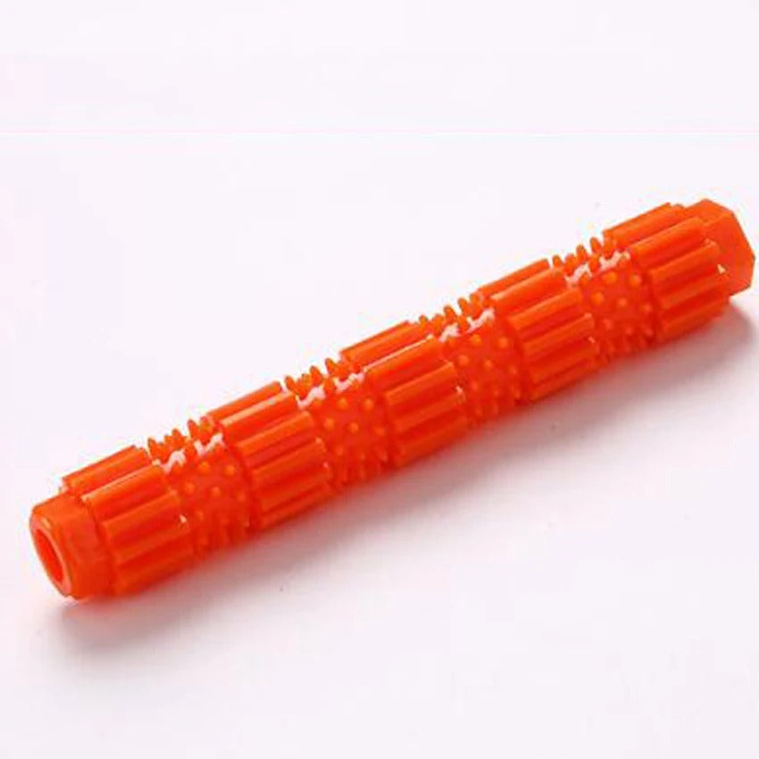 Dog fetching the SqueakChew rubber toy outdoors