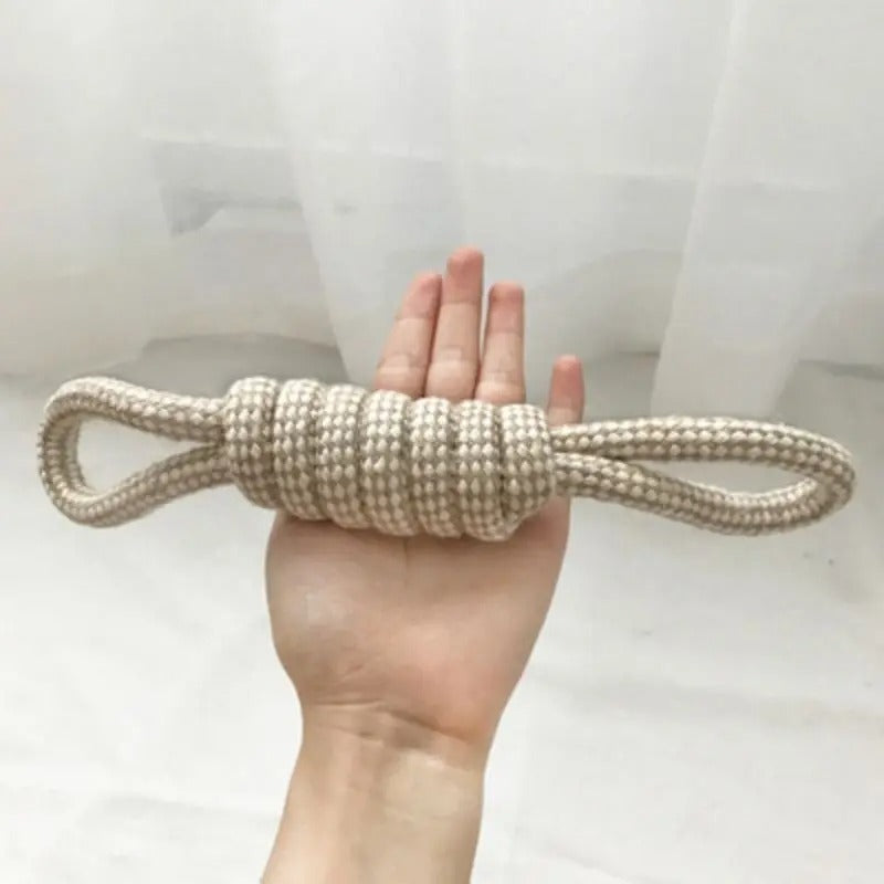 Dog chewing the knotted dental rope toy