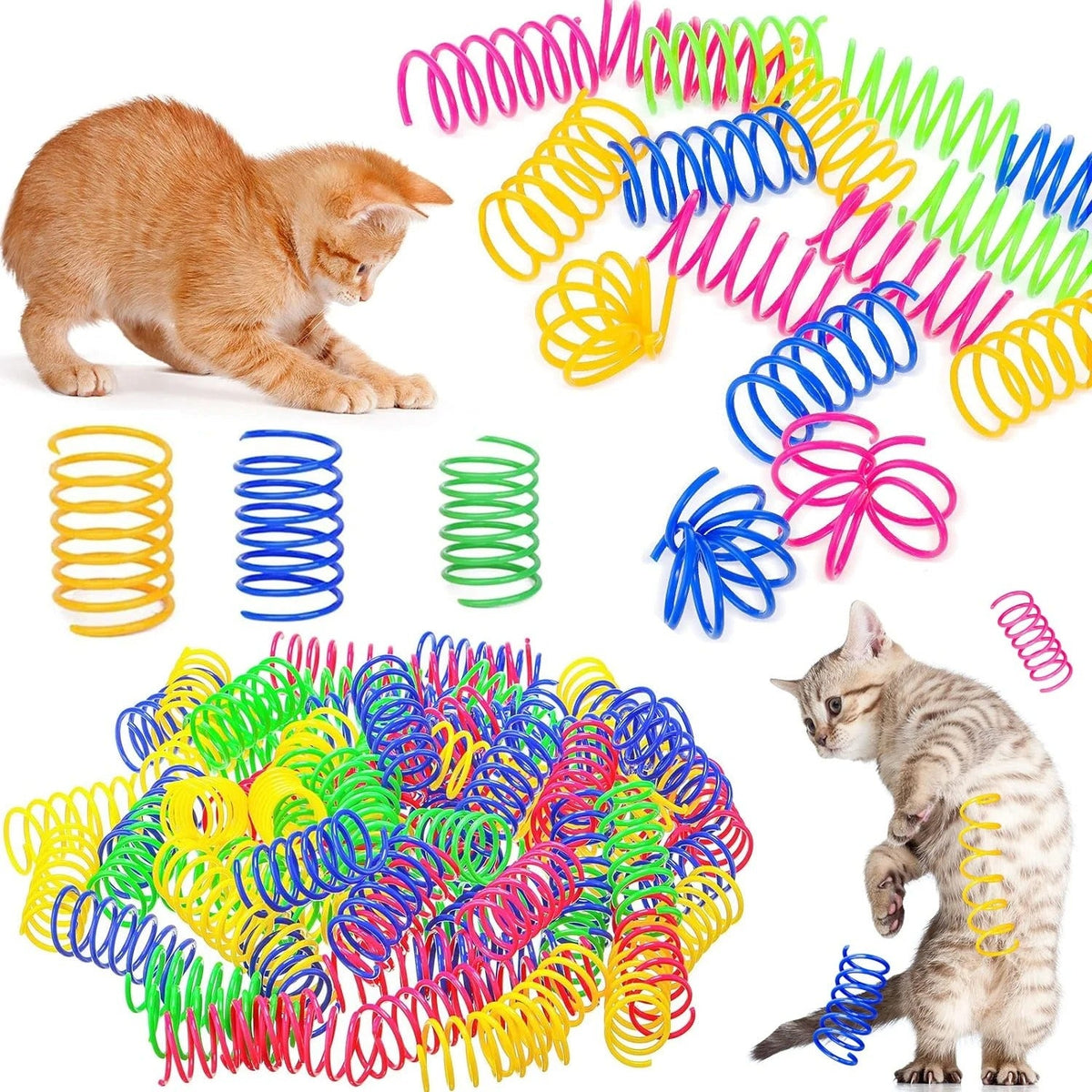 Kitten playing with a spring spiral toy