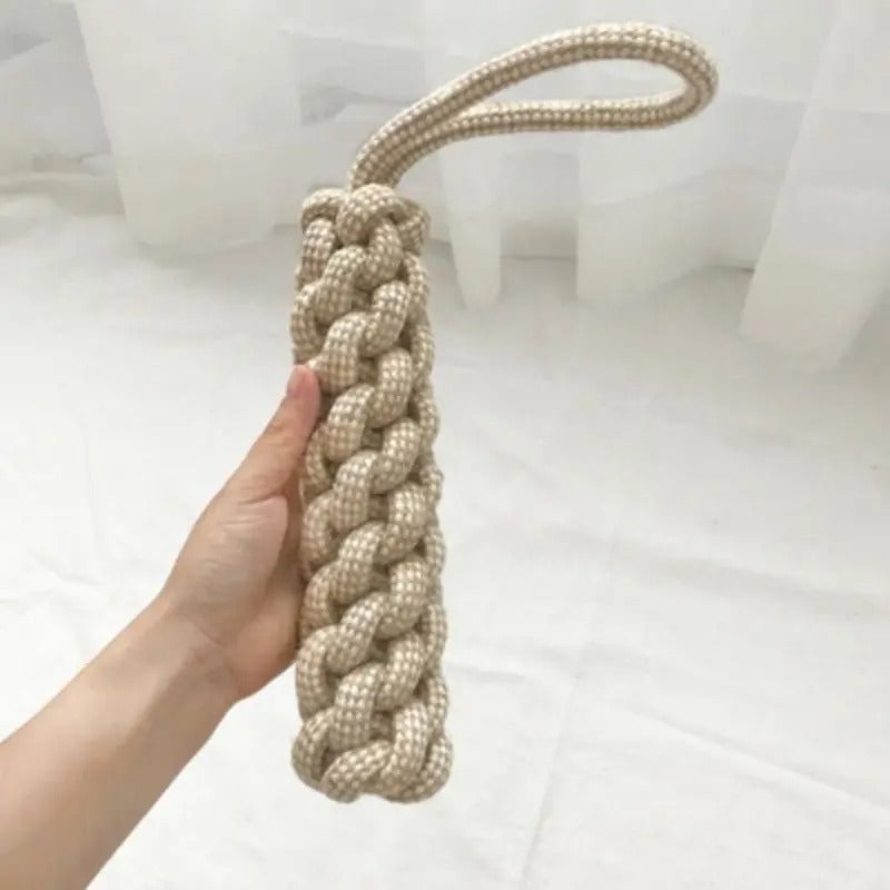 Dog tugging on the dental rope toy
