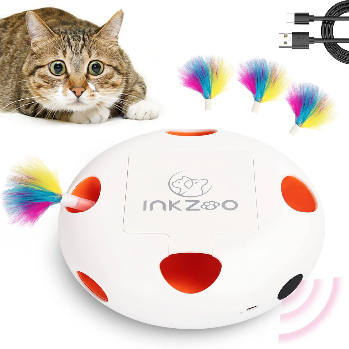 Motion sensor and USB port on the SmartFeather toy